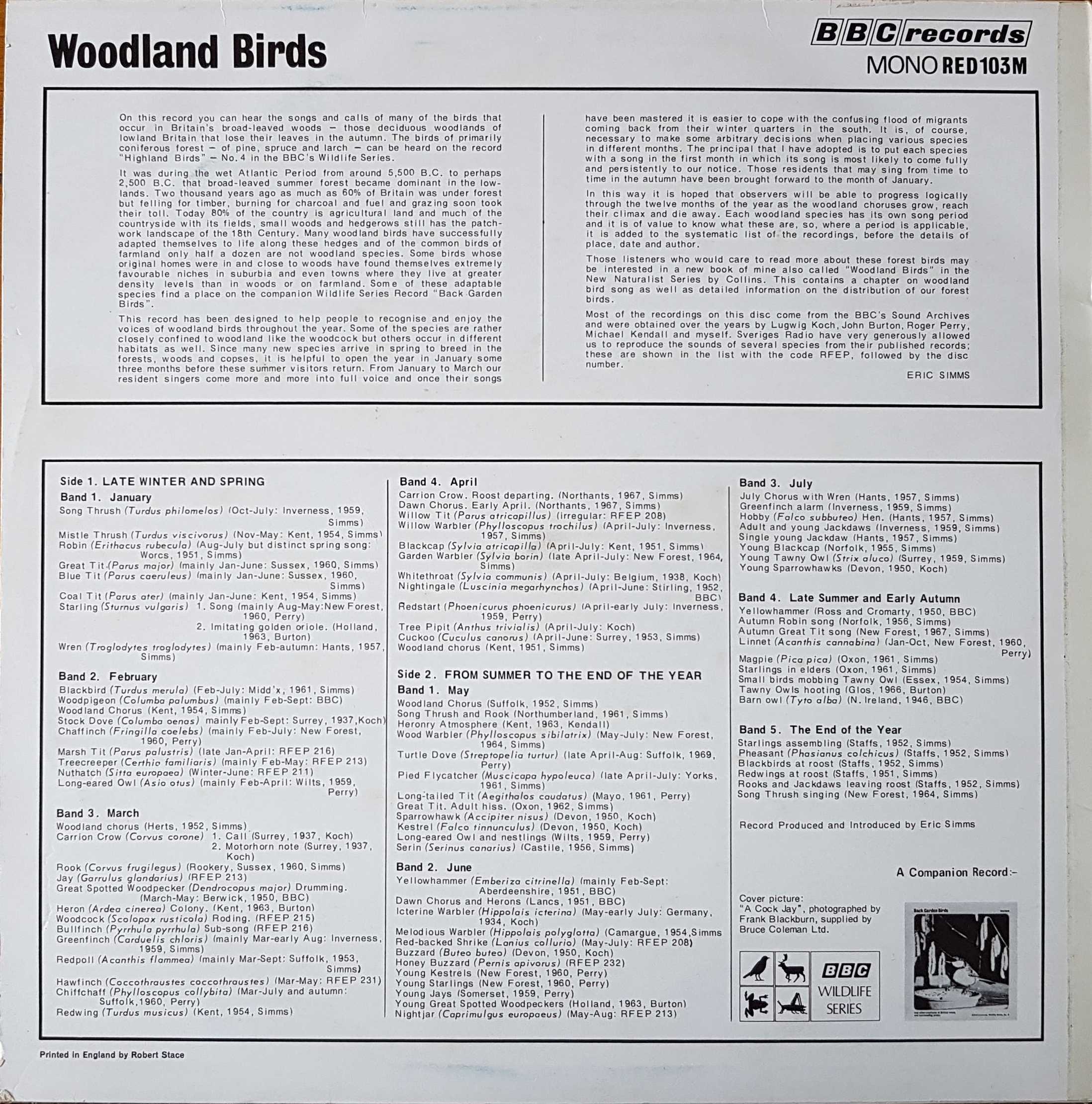 Picture of RED 103 Woodland birds by artist Various from the BBC records and Tapes library